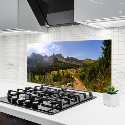 Painel cozinha Montanhas Montanhas Estrada Natureza Prado