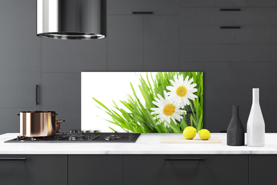 Painel vidro cozinha Margarida Flor Natureza