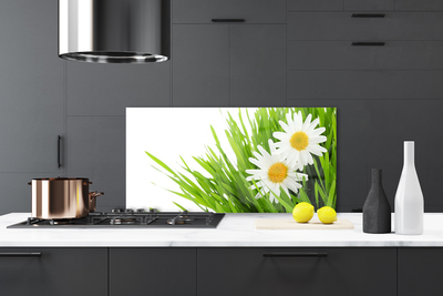 Painel vidro cozinha Margarida Flor Natureza