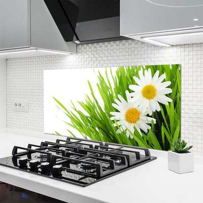 Painel vidro cozinha Margarida Flor Natureza