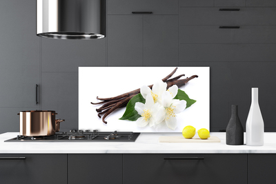 Painel vidro cozinha Fava de baunilha para a cozinha