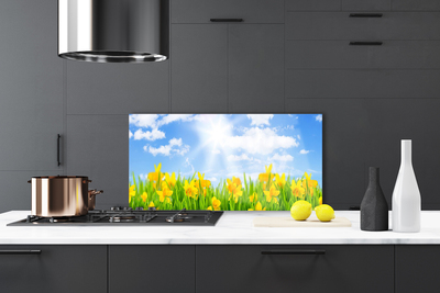Painel cozinha Narcisos Prado Grama Natureza