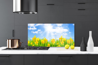 Painel cozinha Narcisos Prado Grama Natureza