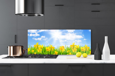 Painel cozinha Narcisos Prado Grama Natureza