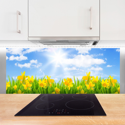 Painel cozinha Narcisos Prado Grama Natureza