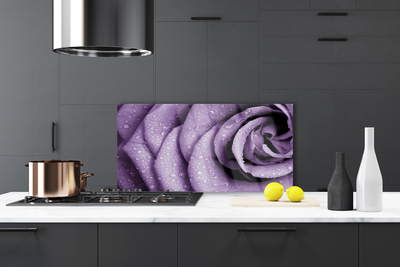 Painel cozinha Planta de flor de rosa