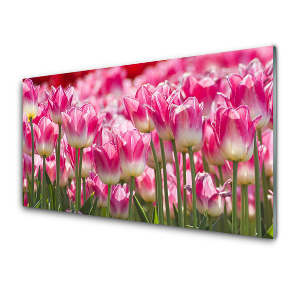 Painel vidro cozinha Tulipas Flores Natureza