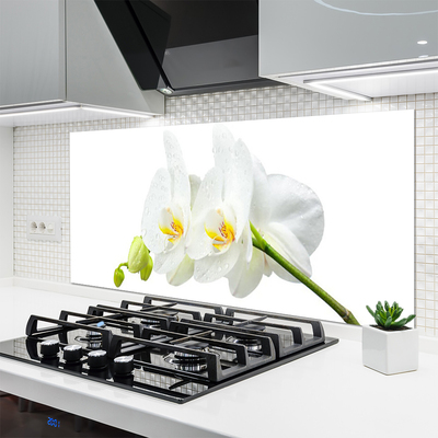 Painel cozinha Pétalas de flores de orquídea branca