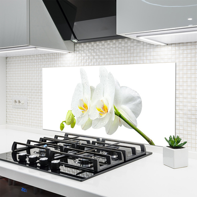 Painel cozinha Pétalas de flores de orquídea branca