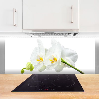 Painel cozinha Pétalas de flores de orquídea branca