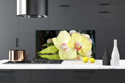 Painel vidro cozinha Pétalas de flores de orquídea