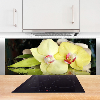 Painel vidro cozinha Pétalas de flores de orquídea