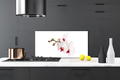 Painel vidro cozinha Flores Natureza Orquídea