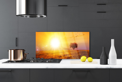 Painel cozinha Pássaros do Prado do Pôr do Sol