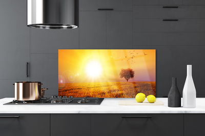 Painel cozinha Pássaros do Prado do Pôr do Sol