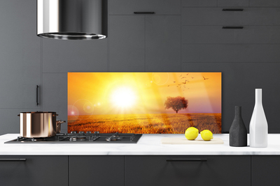 Painel cozinha Pássaros do Prado do Pôr do Sol