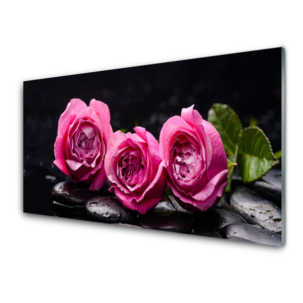 Painel cozinha Roses Stones Zen Spa Natureza