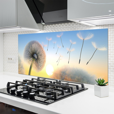 Painel cozinha Planta de flores de dente-de-leão