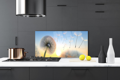 Painel cozinha Planta de flores de dente-de-leão