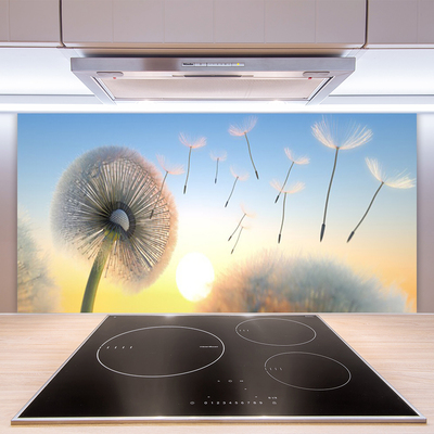 Painel cozinha Planta de flores de dente-de-leão