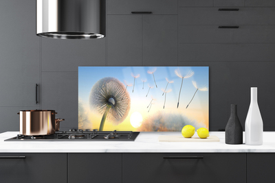 Painel cozinha Planta de flores de dente-de-leão