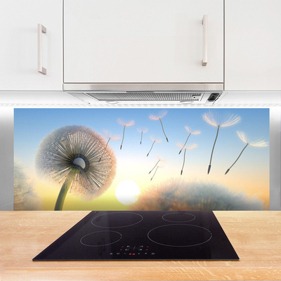 Painel cozinha Planta de flores de dente-de-leão