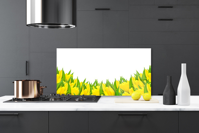 Painel vidro cozinha Flores Natureza Tulipas