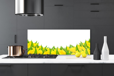 Painel vidro cozinha Flores Natureza Tulipas