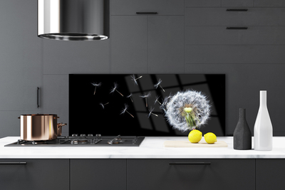 Painel vidro cozinha Flores de dente-de-leão Natureza