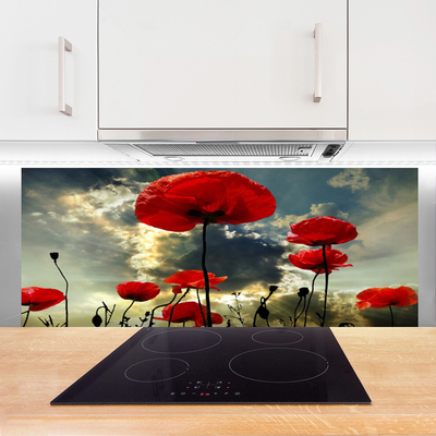 Painel cozinha Papoulas Flores Natureza Planta