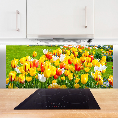 Painel vidro cozinha Tulipas Flores Natureza