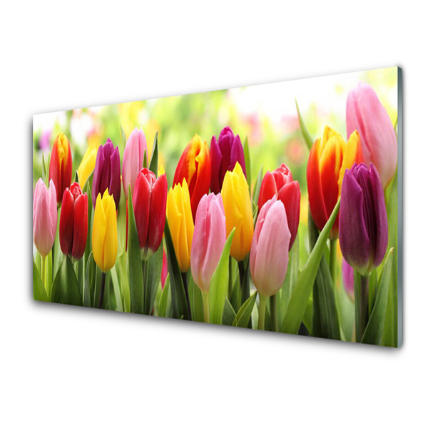 Painel vidro cozinha Tulipas Flores Natureza