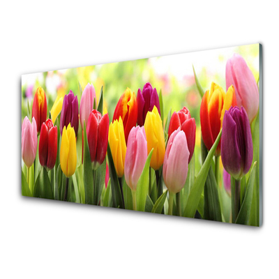 Painel vidro cozinha Tulipas Flores Natureza