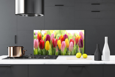 Painel vidro cozinha Tulipas Flores Natureza