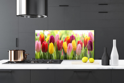 Painel vidro cozinha Tulipas Flores Natureza