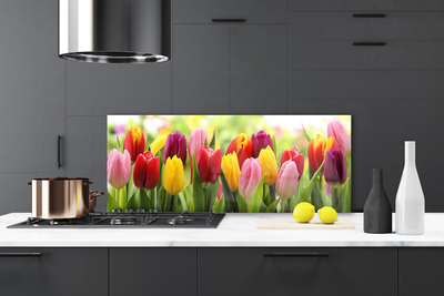 Painel vidro cozinha Tulipas Flores Natureza
