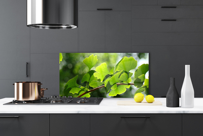 Painel cozinha Ramos Folhas Natureza Árvore