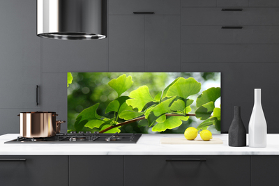 Painel cozinha Ramos Folhas Natureza Árvore