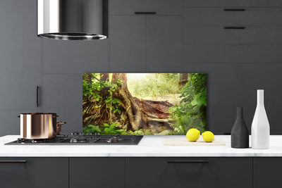 Painel vidro cozinha Tronco de árvore Natureza Floresta