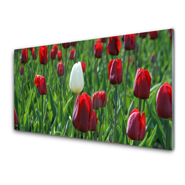 Painel cozinha Tulipas Flores Natureza