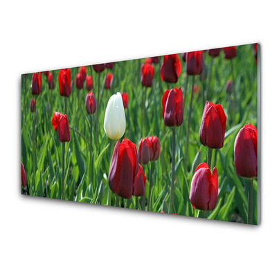 Painel cozinha Tulipas Flores Natureza
