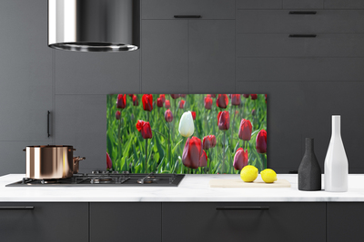 Painel cozinha Tulipas Flores Natureza
