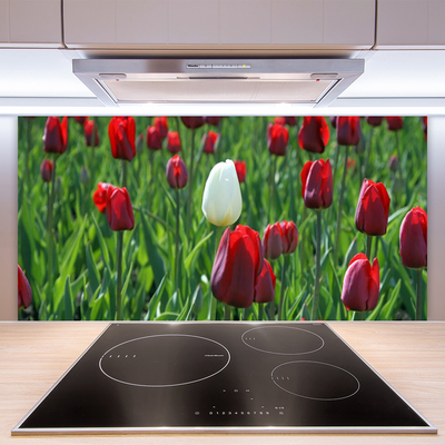 Painel cozinha Tulipas Flores Natureza