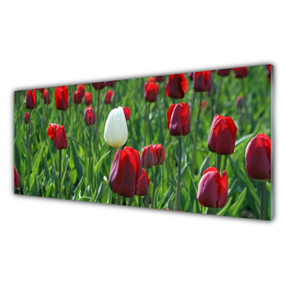 Painel cozinha Tulipas Flores Natureza