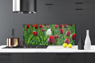 Painel cozinha Tulipas Flores Natureza