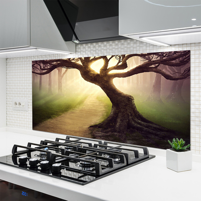 Painel vidro cozinha Raios de sol da árvore