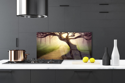 Painel vidro cozinha Raios de sol da árvore