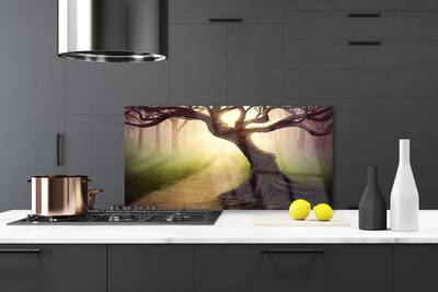 Painel vidro cozinha Raios de sol da árvore