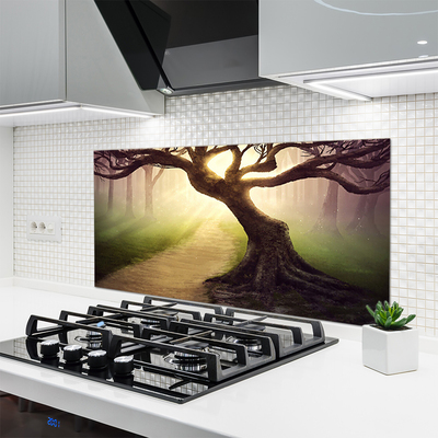 Painel vidro cozinha Raios de sol da árvore