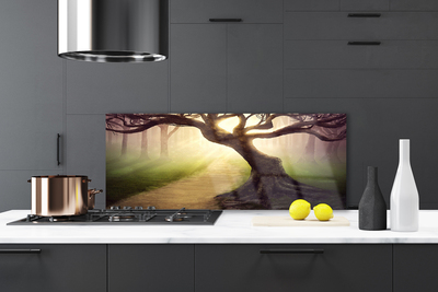 Painel vidro cozinha Raios de sol da árvore